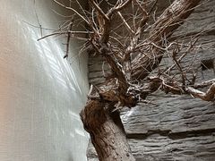 -敦煌市博物馆