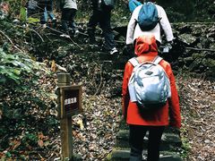 -夏霖九天银瀑风景区