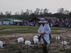 -盐城丹顶鹤湿地生态旅游区