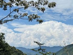 -千岛湖石林