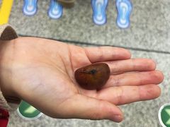 -高记福桂桂花糖炒栗(鼓楼店)