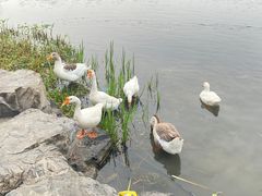 -武汉园博园(武汉自然博物馆)