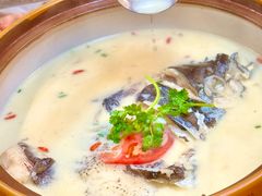 -全乐鱼馆·淳牌有机鱼直营店