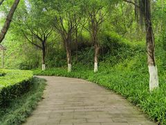 -重庆彩云湖湿地公园