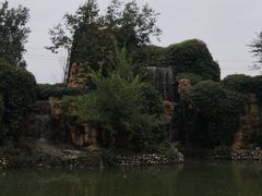 -静之湖湖畔餐厅