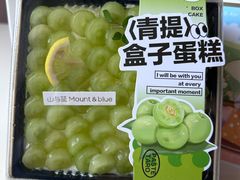 -山与蓝·轻糖鲜果蛋糕(勒泰店)