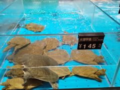 -艳阳天·非遗楚菜(武汉客厅店)