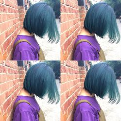 -SALON V