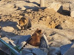 -青藏高原野生动物园
