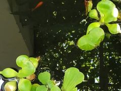 -伊隆斋(什刹海店)