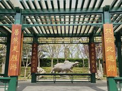 -西海子公园