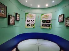 -上海昆虫博物馆