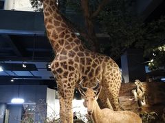 -扬州科技馆