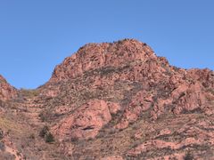 -红山国家森林公园