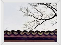 -上海佘山国家森林公园天马山园