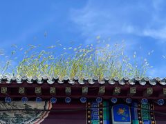 -北京金海湖景区
