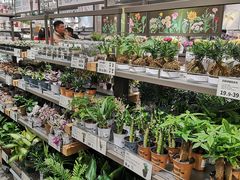 -鹿岛生活(熙地港店)