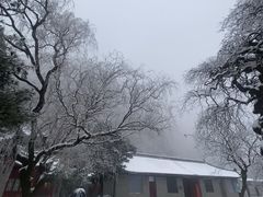 -秦岭终南山世界地质公园翠华山景区