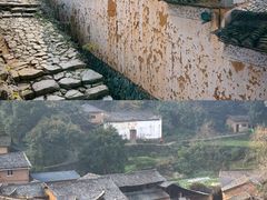 -杨家堂村