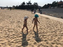 -日照海滨国家森林公园