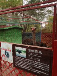 -萌宠亲子动物乐园(槐房万达店)