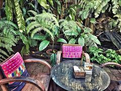 -Fern Forest Cafe