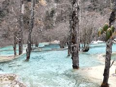 -黄龙山原始森林景区