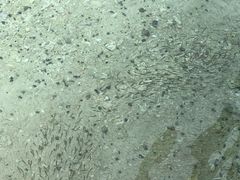 -马奴干岛