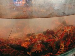 -星伦多自助料理·涮烤一体(奉贤龙湖天街店)
