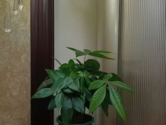 -友谊阳光城