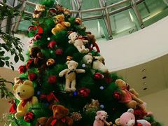 -济州岛泰迪熊博物馆