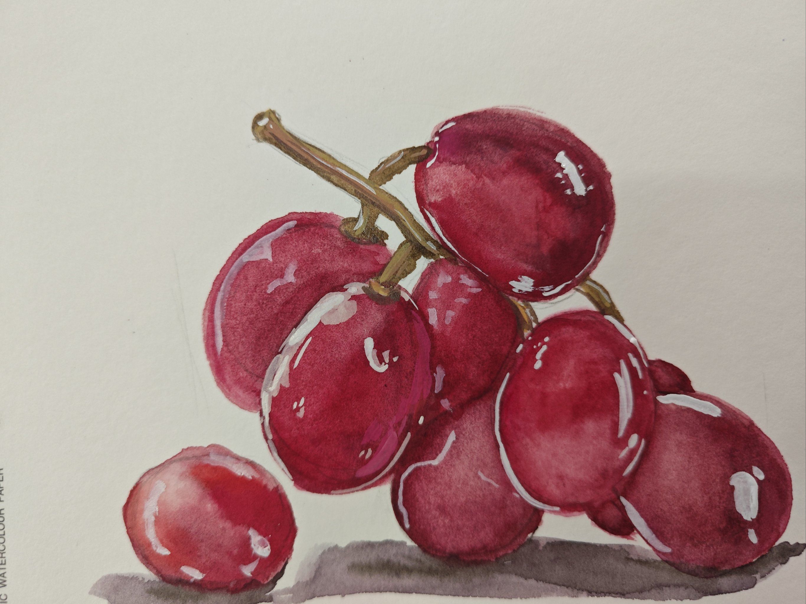 水彩画里的甜蜜果实