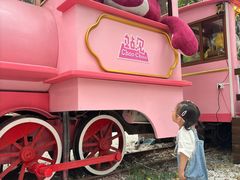 -合肥滨湖国家森林公园