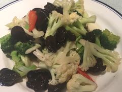 -乡村小镇(新合店)