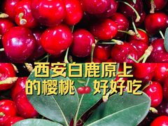 -白鹿原影视城