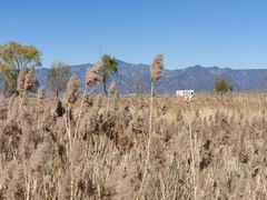 -野鸭湖国家湿地公园