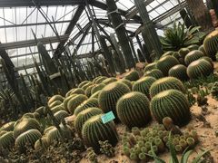 -华南国家植物园-售票处