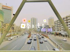 -循礼门鲜花花市(武汉循礼门店)