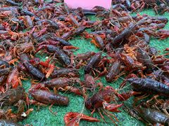 -北京华联合肥长江西路购物中心