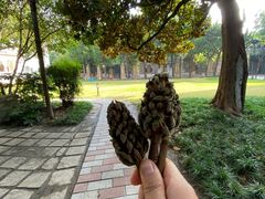 -上海安亭别墅花园酒店