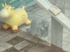 -青藏高原野生动物园