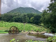 -广州市石门国家森林公园