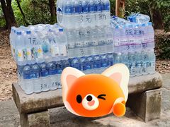 -火炉山森林公园