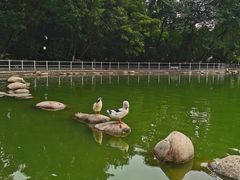 -莲湖公园