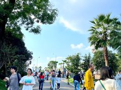 -枫香湖儿童公园