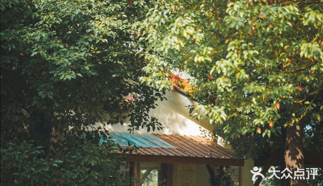 建筑师的稻田咖啡馆，美出天！