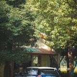 建筑师的稻田咖啡馆，美出天！