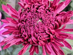 -北京植物园南门售票处