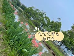 -飞凤山奥体公园