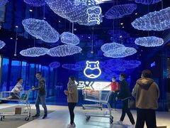 -盒马X会员店(上海森兰商都店)